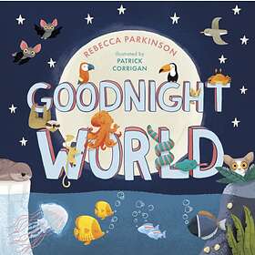Rebecca Parkinson Goodnight World av