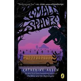 Katherine Arden Small Spaces av