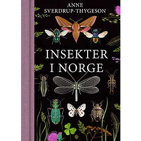Insekter i Norge