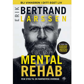 Erik Bertrand Larssen Mental av