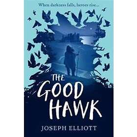 The Good Hawk (Shadow Skye, Book One)