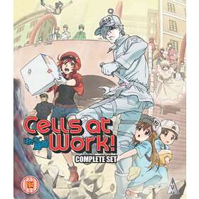 Cells At Work Collection (Blu-ray)