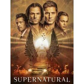 Supernatural Säsong 15 DVD (import Sv text)