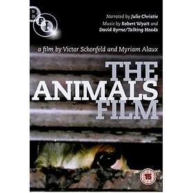 Animals DVD