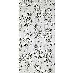 Mimou Rainbirds Natural/Black WP2101