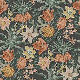 Midbec Cecilia (34031)