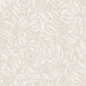 Sandberg Olof Sandstone S10203