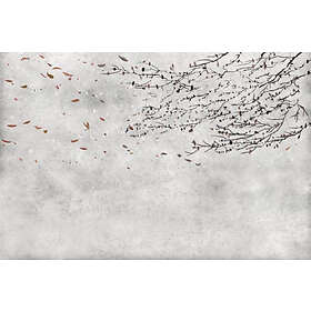 Coordonné Core 6600085