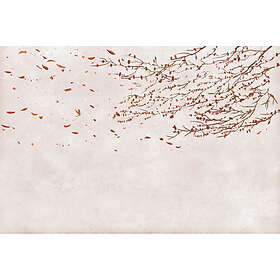 Coordonné Core 6600086