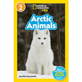 Arctic Animals