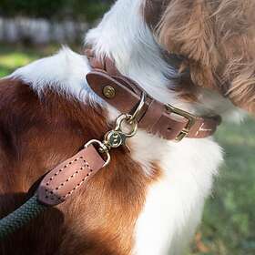 Denjo Dogs Stockholm Collar