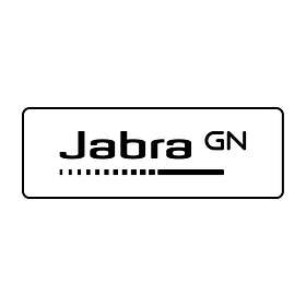 Jabra Evolve2 50 USB-C MS Mono On Ear