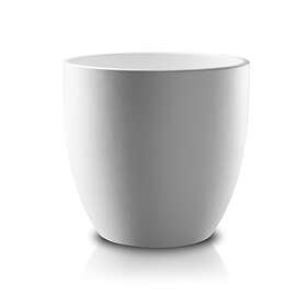 JEE-O Blue 25-SWMBAS67 (Vit)