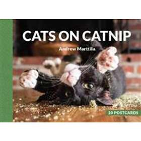 Cats on Catnip: 20 Postcards