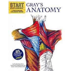 Start Exploring: Gray's Anatomy