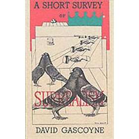 A Short Survey of Surrealism