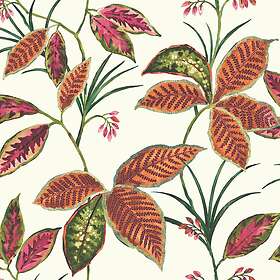 Wallquest Maui TP80810