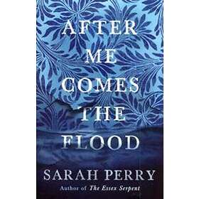 After Me Comes the Flood