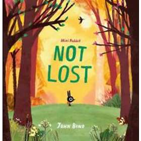 Mini Rabbit Not Lost