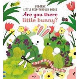 Are you there little Bunny