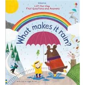 First Questions and Answers: What makes it rain?