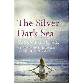 Silver Dark Sea