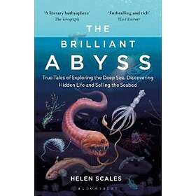 Brilliant Abyss