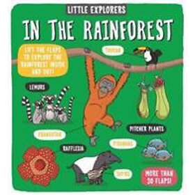 Little Explorers: In the Rainforest