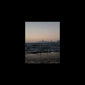 Vallera Michael: Window In (Vinyl)
