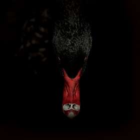 Sankt Otten N: Mannerfreundschaften Und Met... (Vinyl)