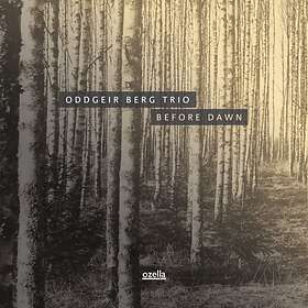 Berg Oddgeir (trio): Before Dawn (Vinyl)