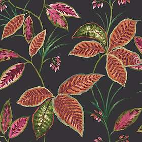 Wallquest Maui TP80800