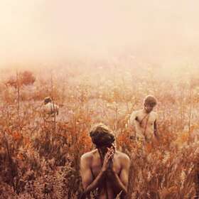 Plano Sebastian: Arrhythmical Part Of Hearts (Vinyl)