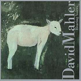 David Mahler Hearing Voices CD