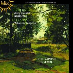 Richard Strauss Bruckner /Strauss R: Quintet & Capriccio CD