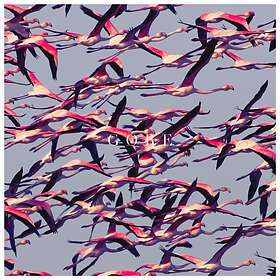Deftones Gore CD