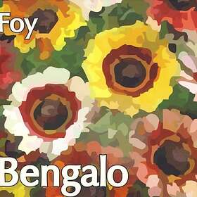 Bengalo Foy CD