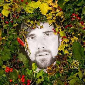 Mikey Collins Hoick CD