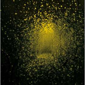 The Antlers - Burst Apart CD