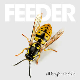 Feeder All Bright CD