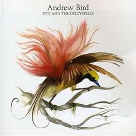 Andrew Fitz And The Dizzy Spells CD
