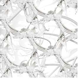 Ziúr U Anything? CD