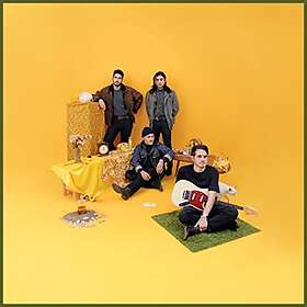 PANGEA Bulls And Roosters CD