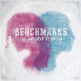 Benchmarks Our Undivided Attention CD