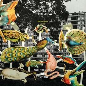 Fire! Orchestra Ritual CD