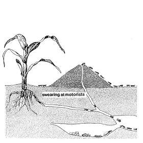 Swearing At Motorists CD