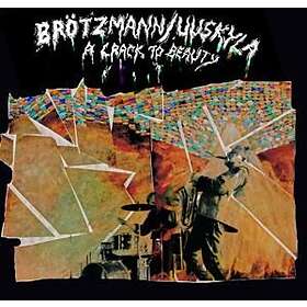 Peter Brötzmann / Peeter Uuskyla A Crack To Beauty CD