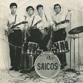 Los Saicos Demolicion LP