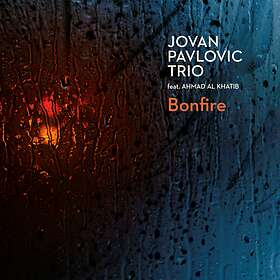 Pavlovic Trio Bone Fire CD