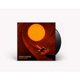 Eddie Vedder Long Way (Single) Limited Edition LP
